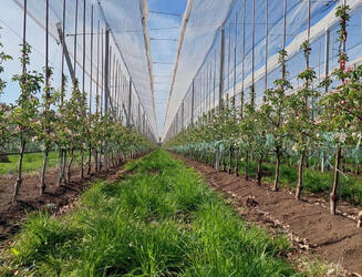 image-04-08-22-03-39