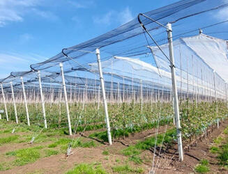 image-04-08-22-03-39-5