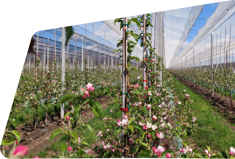 Изготовление столбов <br />железобетонных <br />предварительно напряженных